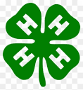 4-H Brochure